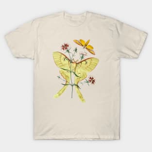 Indian Moon Moth T-Shirt